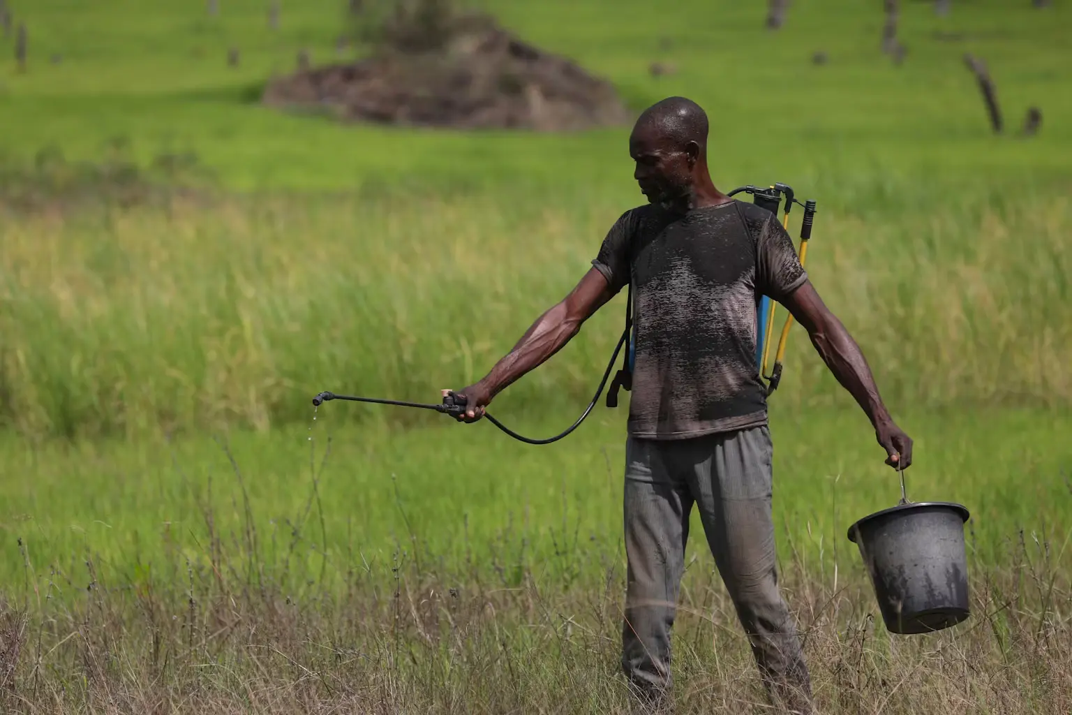 Navigating Agrochemical Regulations: A Practical Guide for Nigerian Farmers