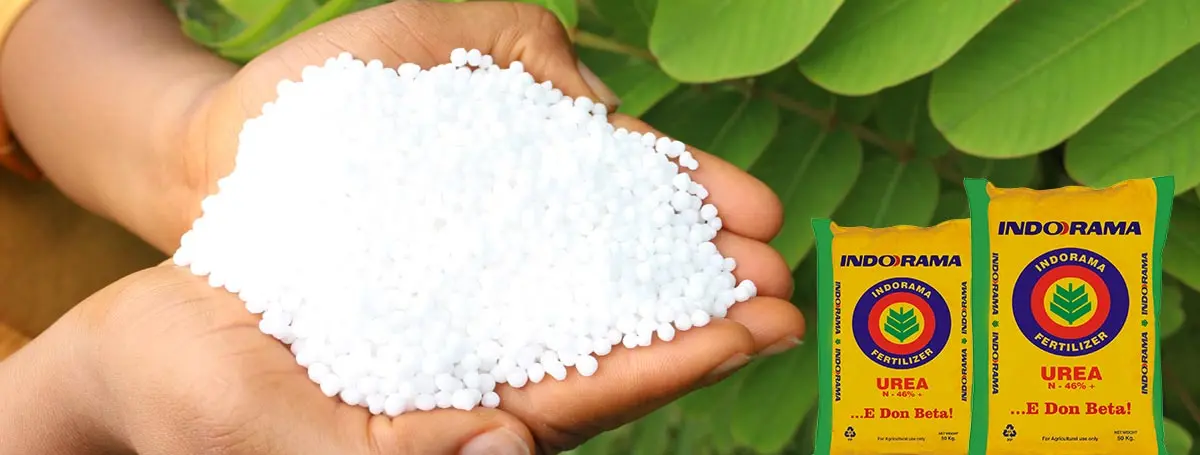 Fertilizer Application Methods for Optimal Crop Growth