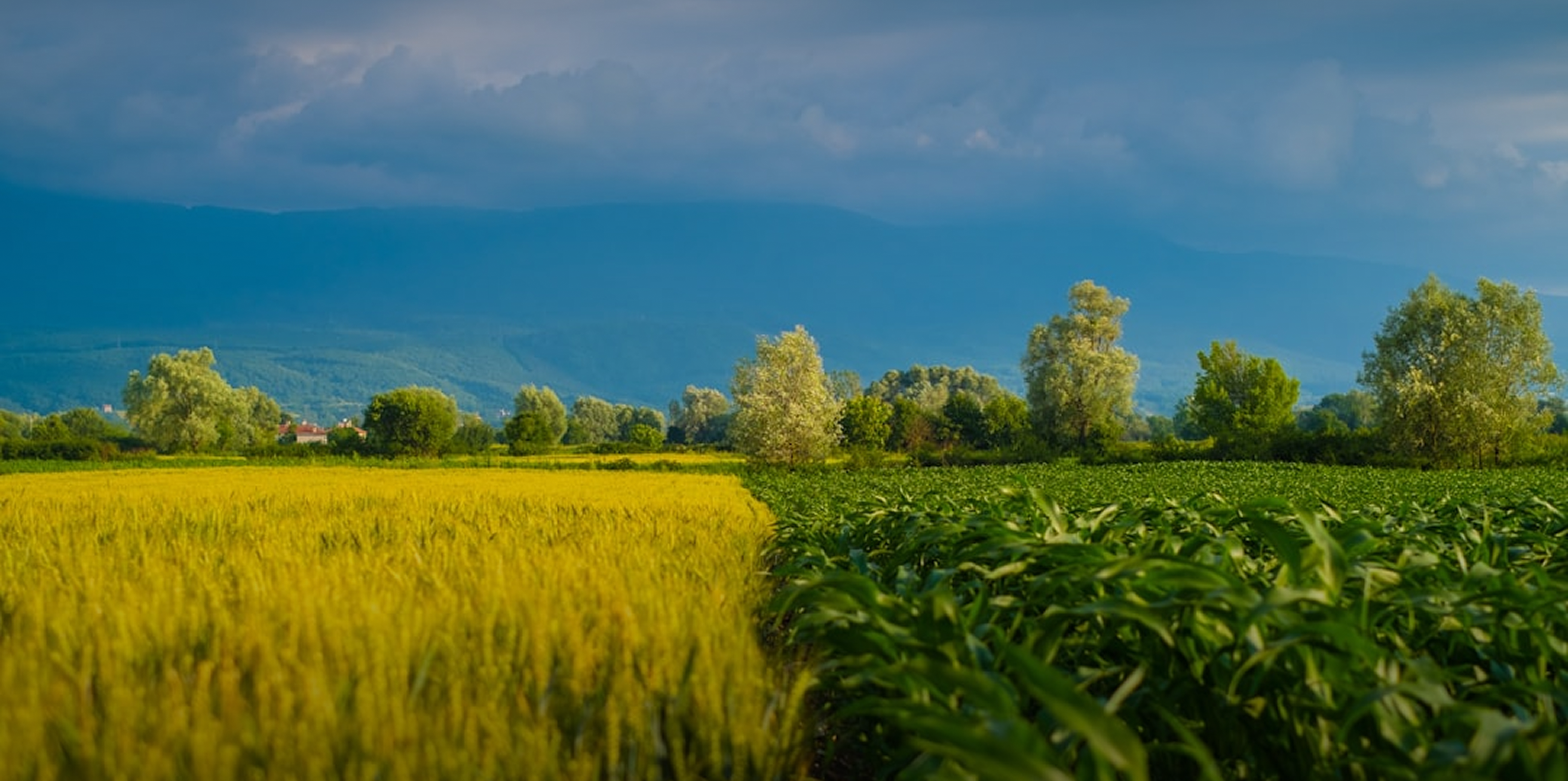 Sustainable Farming Solutions